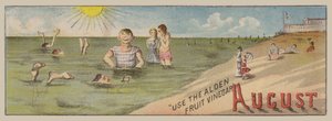 August by American School